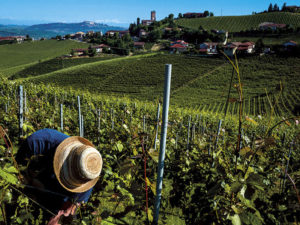 Programma 2021 TR Register Italy - Raduno TR in Piemonte