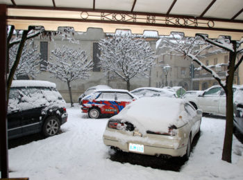 TR register Italy Pranzo degli Auguri 2010