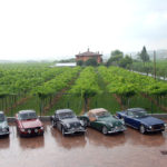 TR Day in Valpolicella, 2010