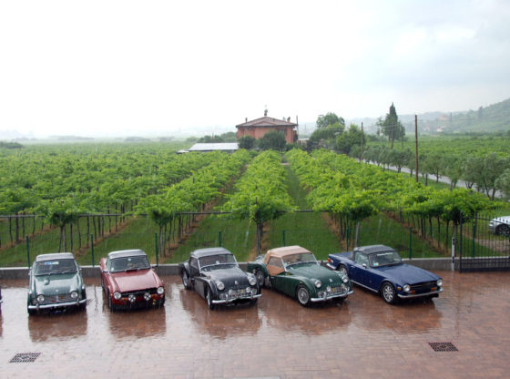 TR Day in Valpolicella, 2010