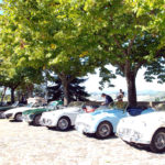 TR Day delle Colline Romagnole, 2014