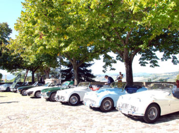 TR Day delle Colline Romagnole, 2014