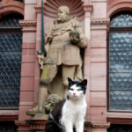 29-EuroMeeting-Papenburg-Germany-2018