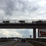 116-EuroMeeting-Papenburg-Germany-2018